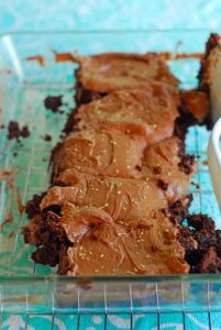 Frosted Coconut Milk Brownies - A Duck's Oven