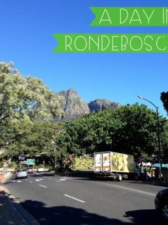 A day in our southern suburb, Rondebosch, in Cape Town, South Africa.