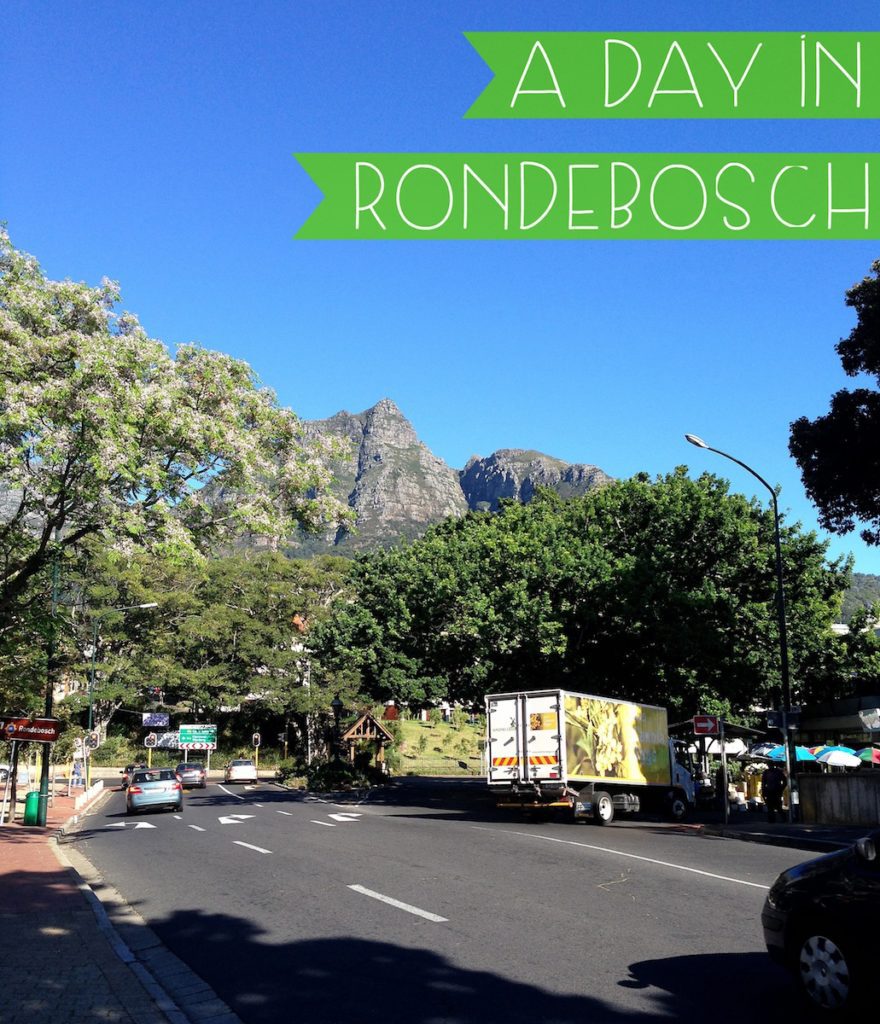 A day in our southern suburb, Rondebosch, in Cape Town, South Africa.