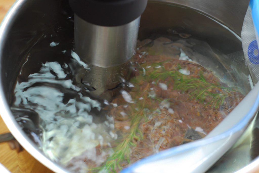 Close up di circolatore a immersione in una casseruola di acqua con la tri-tip bistecca