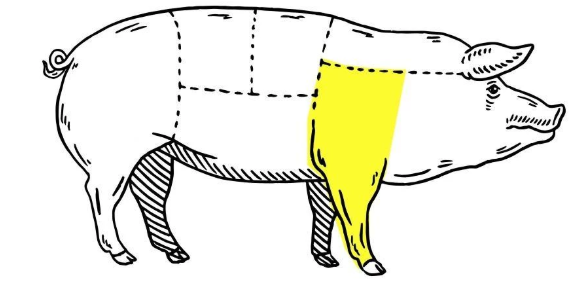 Outline of a pig cut into sections with the front leg highlighted.