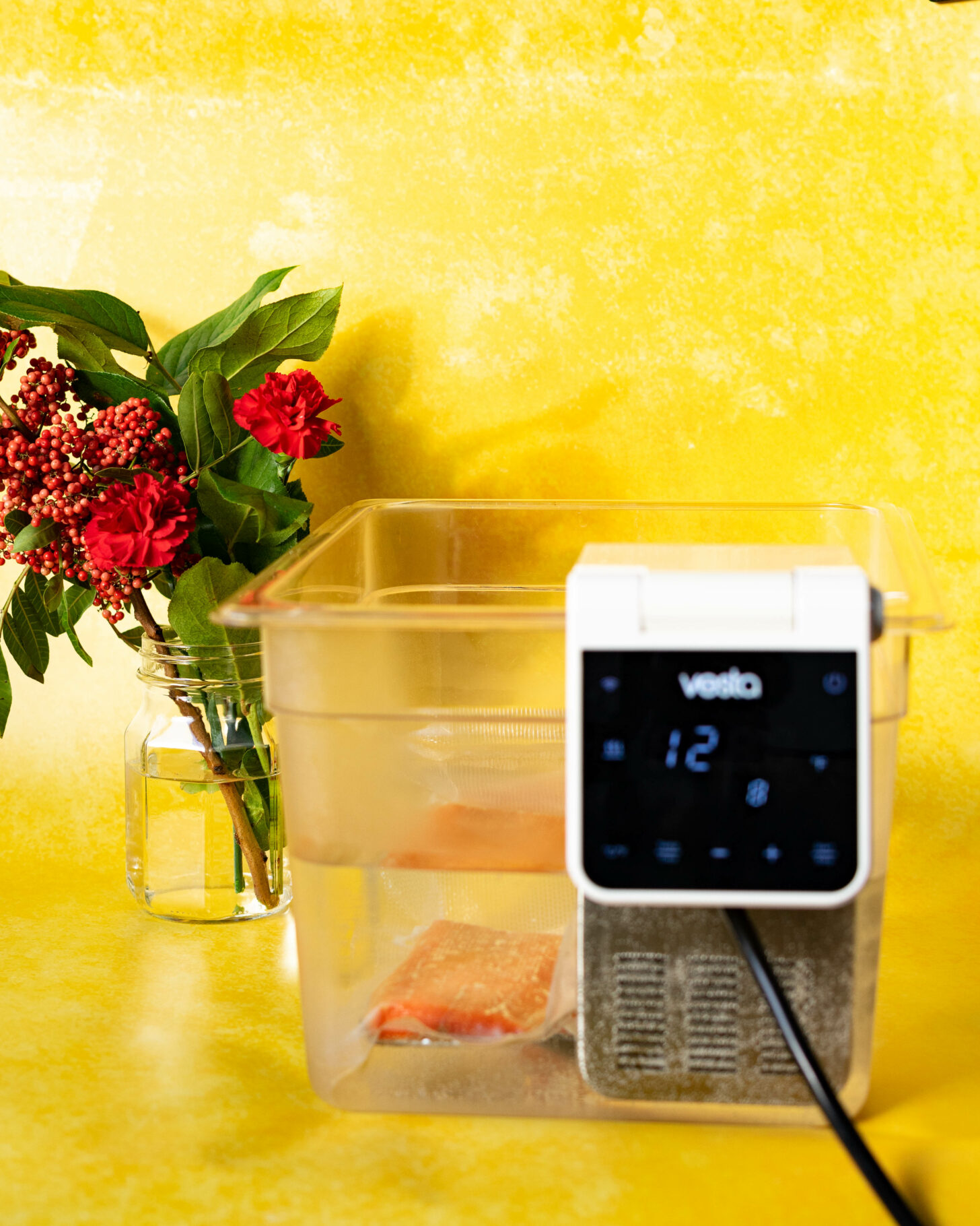 What is Sous Vide? A Beginner’s Guide. - A Duck’s Oven