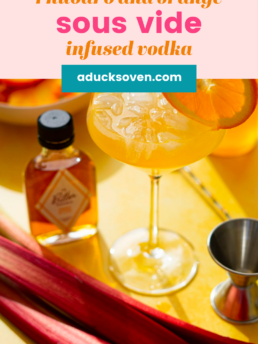 Rhubarb and orange sous vide infused vodka with an orange slice as garnish on the wine glass.