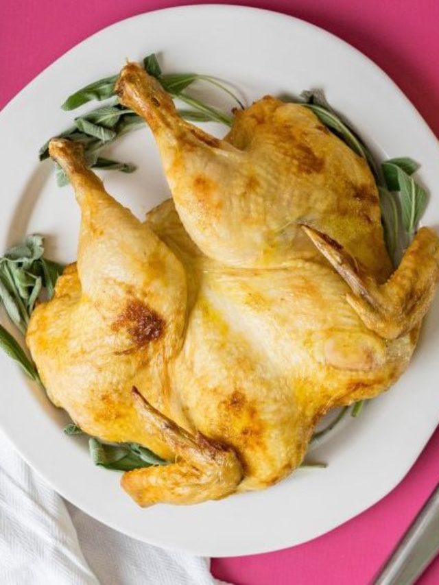 cropped-spatchcocked-chicken-1-1024x576-1.jpeg